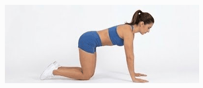 Bird Dog: Arm and Leg